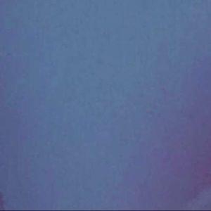 Meet your Posher, Bailey